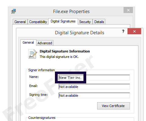 Screenshot of the New Tier Inc. certificate